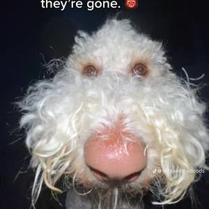 Meet your Posher, Natalia